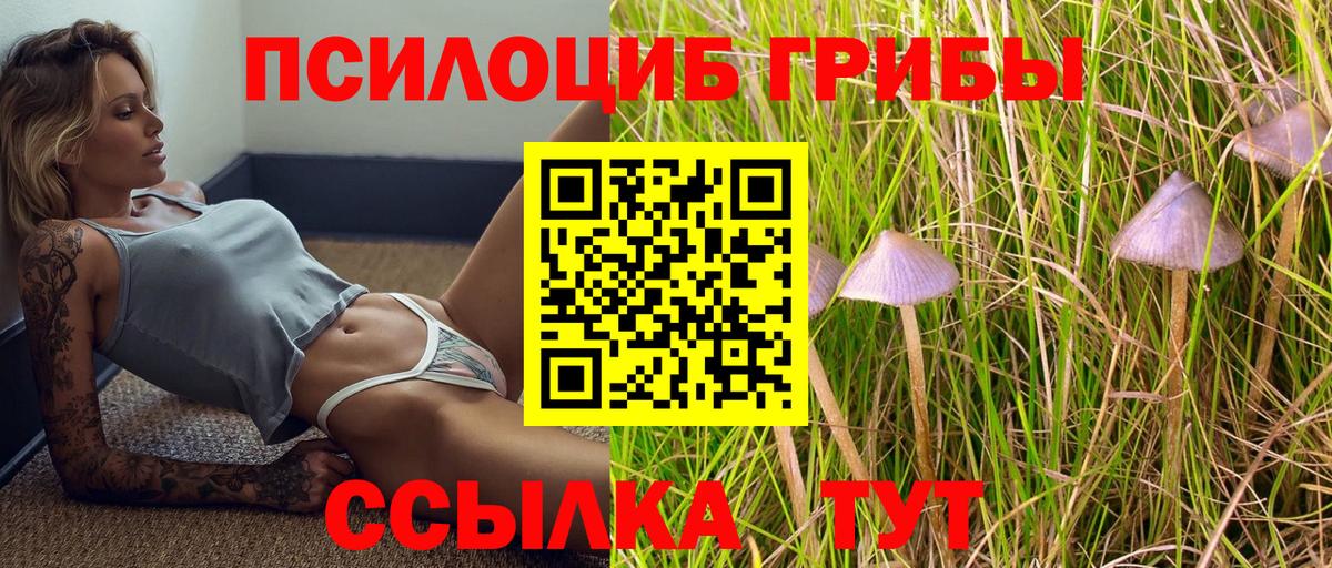 Галлюциногенные грибы мицелий  Вход с VPN  Майский  Псилоцибиновые грибы прущие грибы 
